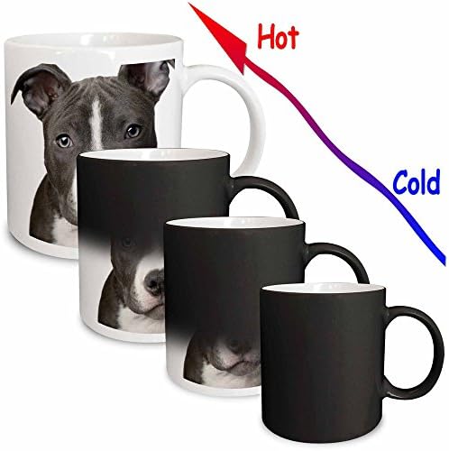 3дрозные кучета Питбул - Кученце на американския Питбультерьера - Чаши (кружка_4240_1)