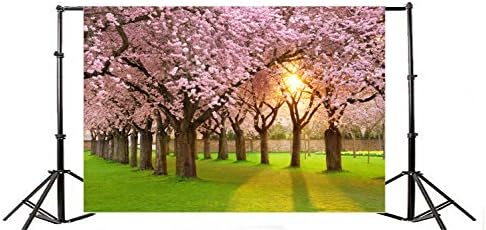 Yeele 10x8ft Разцвет череша Фон за Снимки на Пролетния Парк Слънчева Светлина Розово Цвете Зелена Поляна Фон Градина Романтичен Пейзаж